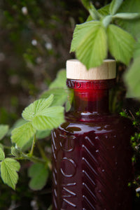 Downpour Sloe and Bramble Gin. A deep red bottle with a pale wood stopper sits in green leaves.