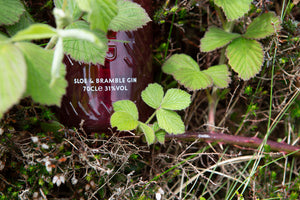Downpour Sloe & Bramble Gin